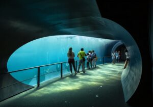 L'Aquarium de Gênes c'est quoi ?